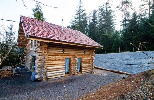 Anould Casa | Chalet Authentique en Forêt, 6 Pers, Proche Gérardmer, Sentiers & Stations de Ski - FR-1-589-378