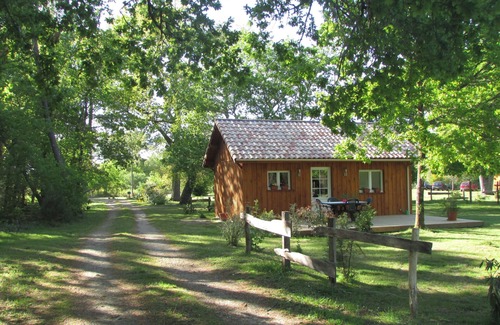 Luglon Casa | Chalet Bois au Coeur de la Forêt des Landes