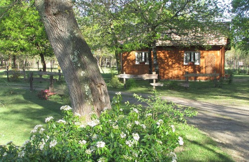 Luglon Casa | Chalet Bois au Coeur de la Forêt des Landes