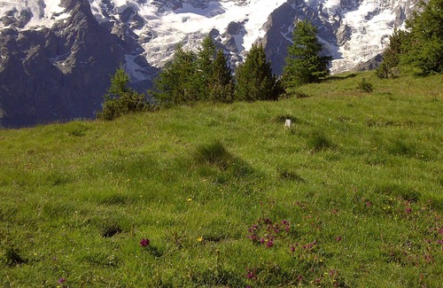 La Grave Chalet De Esquí | A 50 m del teleférico: Chalet Brèche Pacave, frente al Meije.