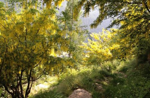 Staffa Chalet De Esquí | Chalet del frassino
