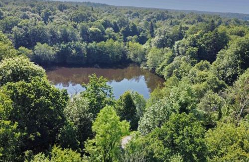 Chaumont Casa | Chalet en bois tout inclus avec terrasse en lisière de forêt - FR-1-497-213