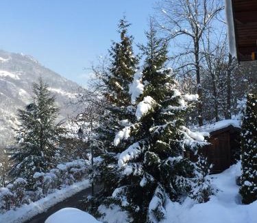 La Perriere Chalet De Esquí | Chalet Greystone