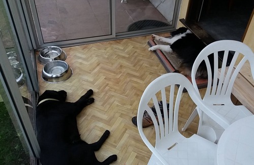 Kruth Casa | Chalet House cabaña 12 personas con gran salón cerrado.