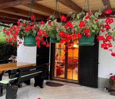 Lokve Chalet De Esquí | Chalet House Olga
