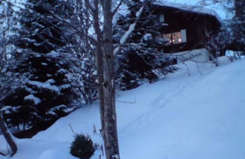 Grindelwald Chalet De Esquí | Chalet in Grindelwald, Fantastische Lage