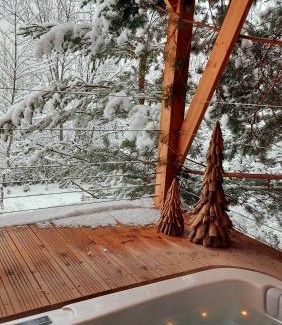 Saint-Etienne-de-Tinee Cabina | Chalet l'Empreinte