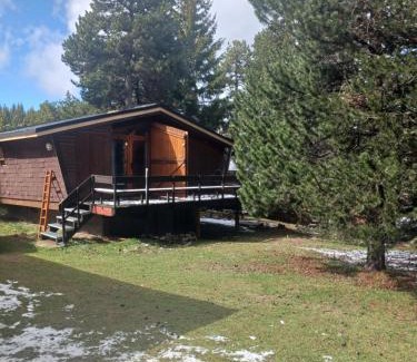 Pyrenees 2000 Chalet De Esquí | Chalet l'Epicéa rénové dans la forêt, T3 avec terrasse & jardin à 5 min à pied des pistes P2000