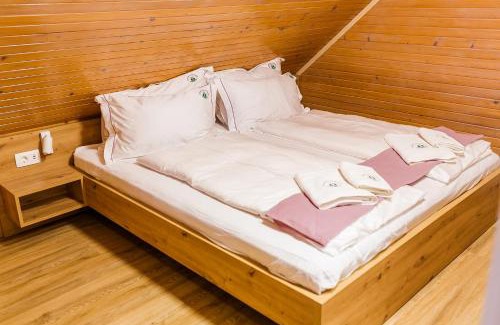 Slovenska Bistrica Apartamento | Chalet Liza & Rozi