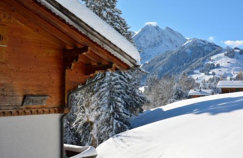 Adelboden Apartamento | Chalet Meiseli