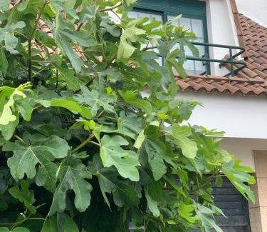 San Vicente do Grove Casa | Chalet Monte da Garda