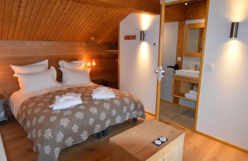 Le Chinaillon Chalet De Esquí | Chalet spacieux, skis aux pieds avec sauna, jacuzzi et salle de sport, proche centre et pistes - FR-1-467-68