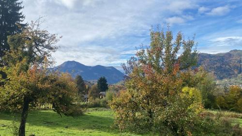 Onnion Casa | Chalet Tiny & Campagne
