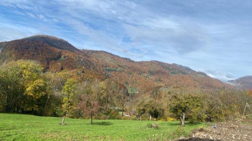 Onnion Casa | Chalet Tiny & Campagne