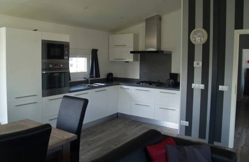 Dordtse Biesbosch Chalet De Esquí | Chalet with 3 bedrooms and furnished garden