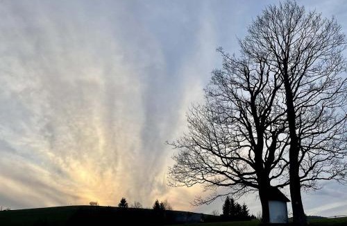 Ricky v Orlickych horach Casa | Chalupa u kapličky Říčky v Orlických horách