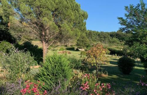Apt Cama Y Desayuno | Chambre d'hôtes Le Cèdre