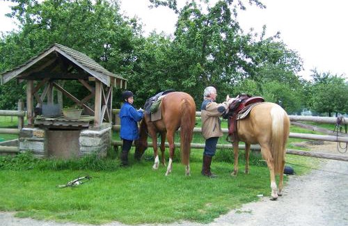Saint-Hilaire-du-Harcouet Cama Y Desayuno | Chambre d'hotes La Jaunais