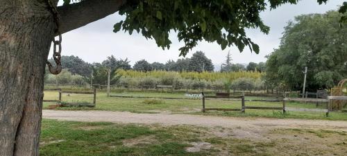 Lagnes Cama Y Desayuno | Chambre d'Hotes Manon - Domaine Les Peupliers -