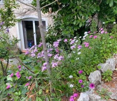 Le Cannet Cama Y Desayuno | Chambre spacieuse indépendante dans villa plus parking privée