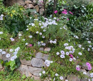 Le Cannet Cama Y Desayuno | Chambre spacieuse indépendante dans villa plus parking privée