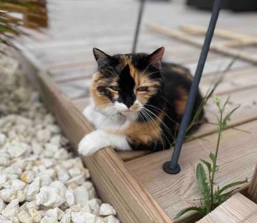 Saint-Christoly-Medoc Cama Y Desayuno | Chambres au cœur des vignes