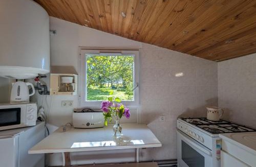 Chatillon-sur-Indre Cama Y Desayuno | Chambres d'hôtes avec jardin près des châteaux de la Loire - FR-1-591-666