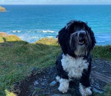 Tintagel Casa | Characterful cottage near Tintagel and coast path