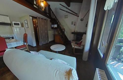 Le Grand-Bornand Apartamento | Charmant Appt 2 pièces + mezzanine, proche pistes, casier à ski, parking, cheminée, animaux ok - FR-1-241-167