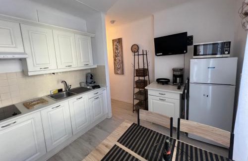 Amelie-les-Bains-Palalda Apartamento | Charmant logement entre mer et montagne idéal pour cure thermale