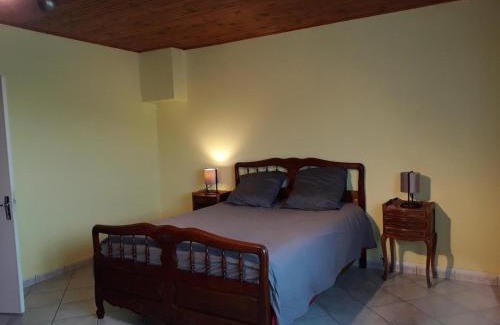 Saint-Victor-sur-Rhins Casa | Charmant gîte avec jardin, animaux admis, proche Roanne - FR-1-496-233