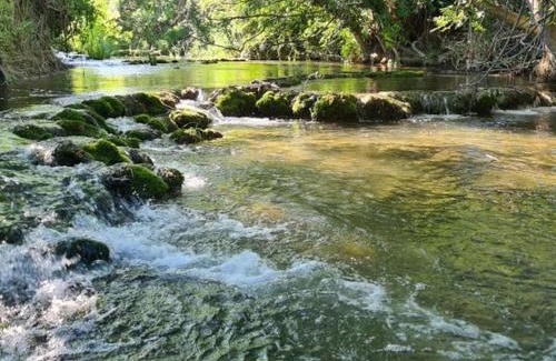 Villefagnan Casa | Charmant gîte à Villefagnan, équipements bébé, animaux acceptés - FR-1-653-47