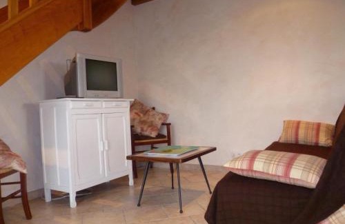 Cour-Cheverny Casa | Charmant gîte au cœur des Châteaux de la Loire avec jardin et animaux admis - FR-1-491-387