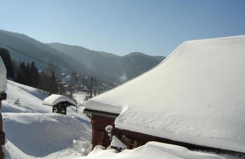 La Bresse Casa | Charmant Gîte avec Garage et Local Vélos au Pied des Pistes de La Bresse - FR-1-589-127