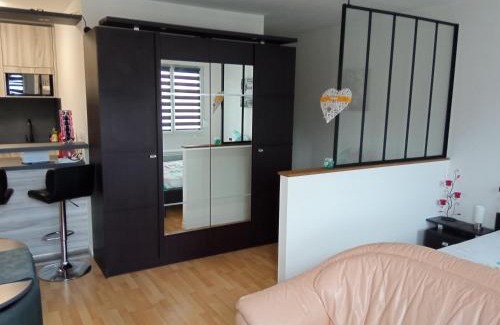 Niederbronn-les-Bains Apartamento | Charmant studio classé 3 étoiles au coeur de Niederbronn-les-Bains