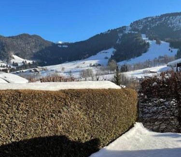 Praz-sur-Arly Apartamento | Charmant studio + jardin vue pistes et local velo
