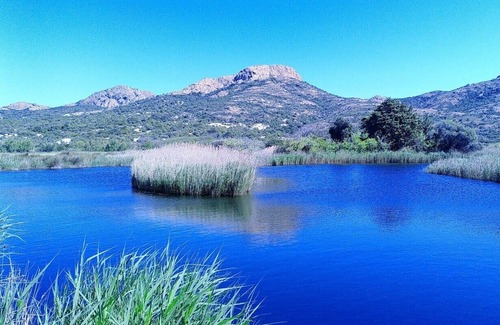 Olini Casa | Charmante et authentique maison de village, idéale entre amis ou en famille !