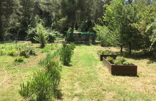 Assas Casa | Charmante Maison en pleine nature avec piscine