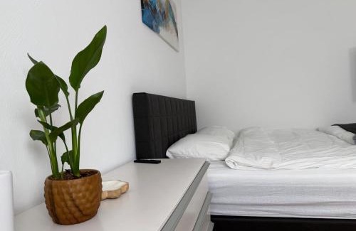 Chur Apartamento | Charmantes Studio in Chur - alles in Reichweite