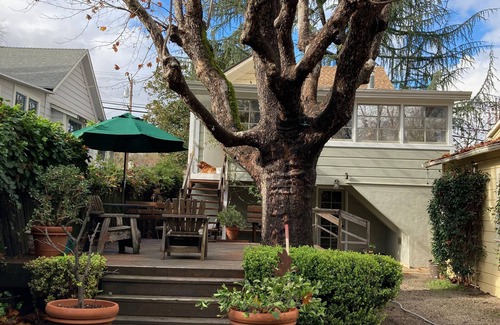 St. Helena Cabaña | Charming 1920's cottage in St. Helena - walk to town