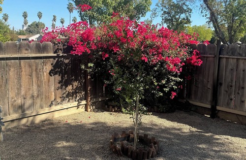 Patterson Casa | Charming 2-bedroom house with fitness room and AC in delightful Patterson