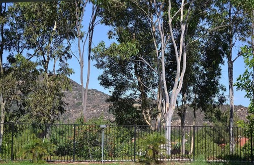 Murrieta Casa | Charming 3-bedroom house with great mtn view, AC, WIFI, in marvelous Murrieta