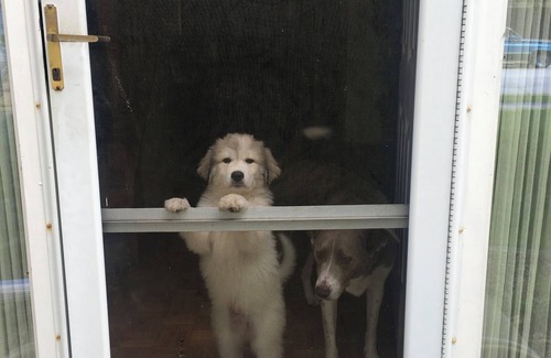 De Pere Casa | Charming 3-bedroom house with AC and WiFi in De Pere