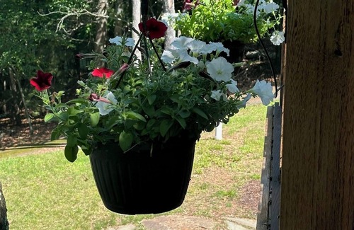 Eagle River Cabina | Charming 3-bedroom cabin with WiFi, AC in lovely Eagle River sleeps 8 people.