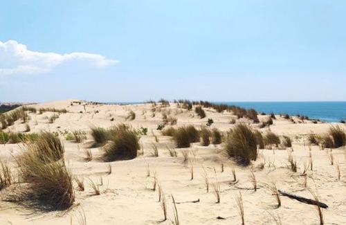 La Palmyre Casa | Villa junto al mar para 6 personas, cercana a comercios y actividades, con patio y parking