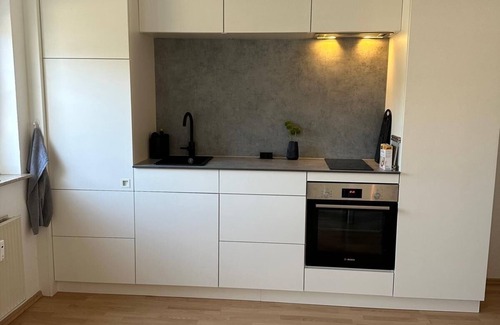 Harrislee Apartamento | 1 dormitorio, 1 cocina, 1 sala de estar, 1 baño, 1 balcón con vista al fiordo y a la playa