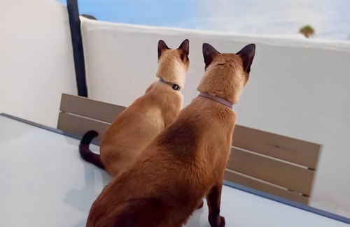 Gáldar Apartamento | Encantador apartamento con vistas espectaculares frente al mar.