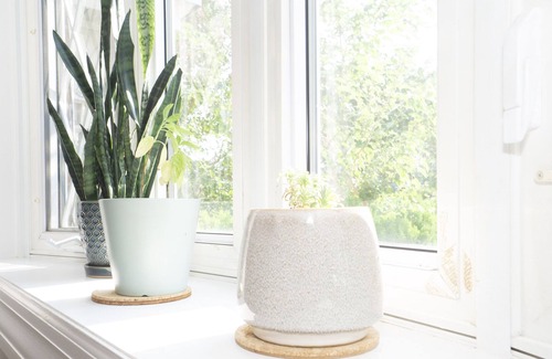 Brightwood Park Casa | Charming Classic 3BR DC Rowhouse