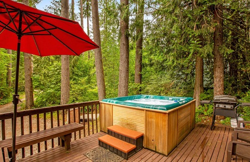 Skykomish Cabina | Charming dog-friendly cabin with mountain view, grill, & hot tub