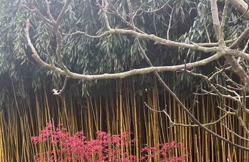 Barizey Casa | Encantadora casa y remanso de paz en la costa de Chalonnaise entre GIVRY y MERCUREY